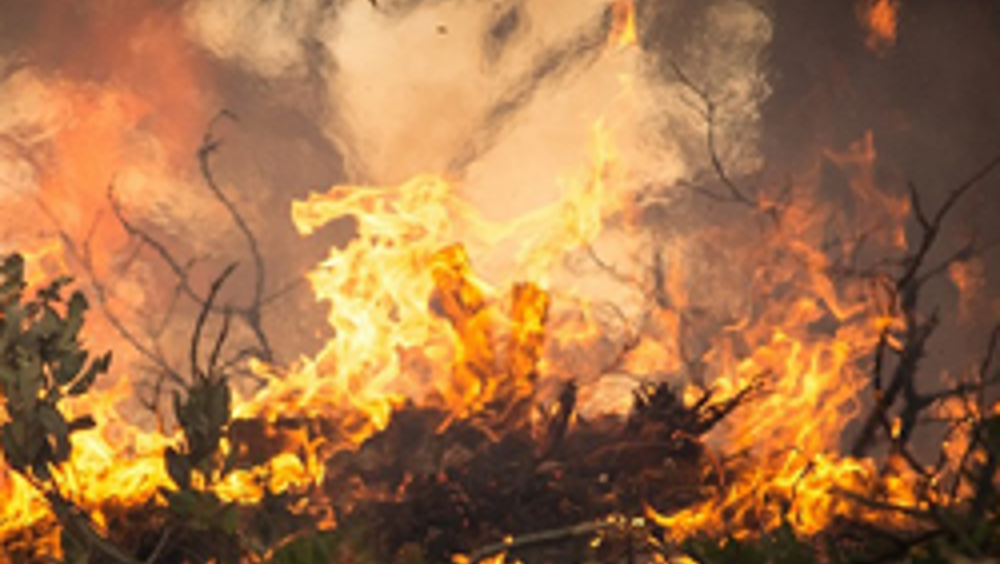 Varata la prima flotta aerea antincendio dell'UE Varata la prima flotta aerea antincendio dell'UE