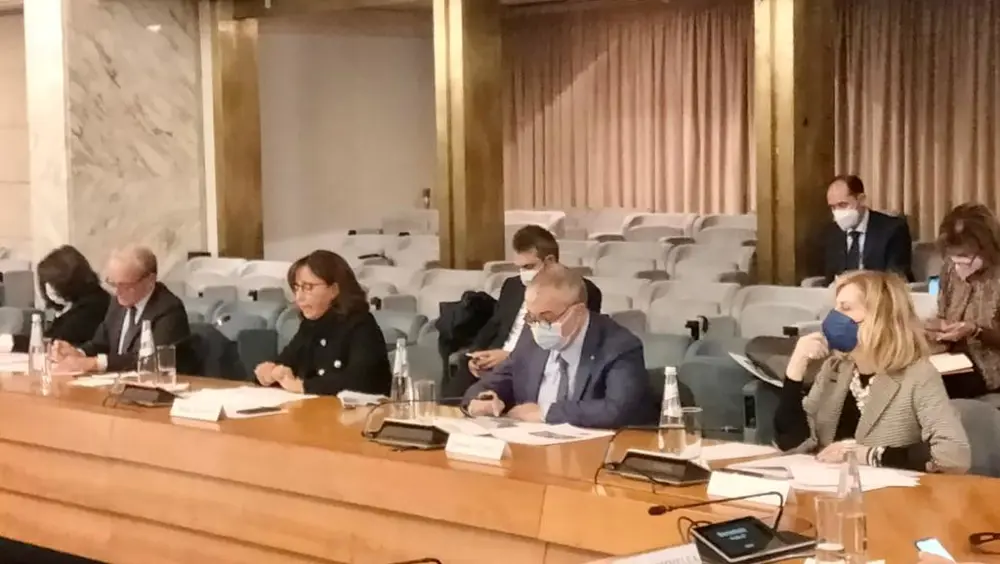 Conferenza sul futuro dell'Europa, terza riunione del Comitato scientifico