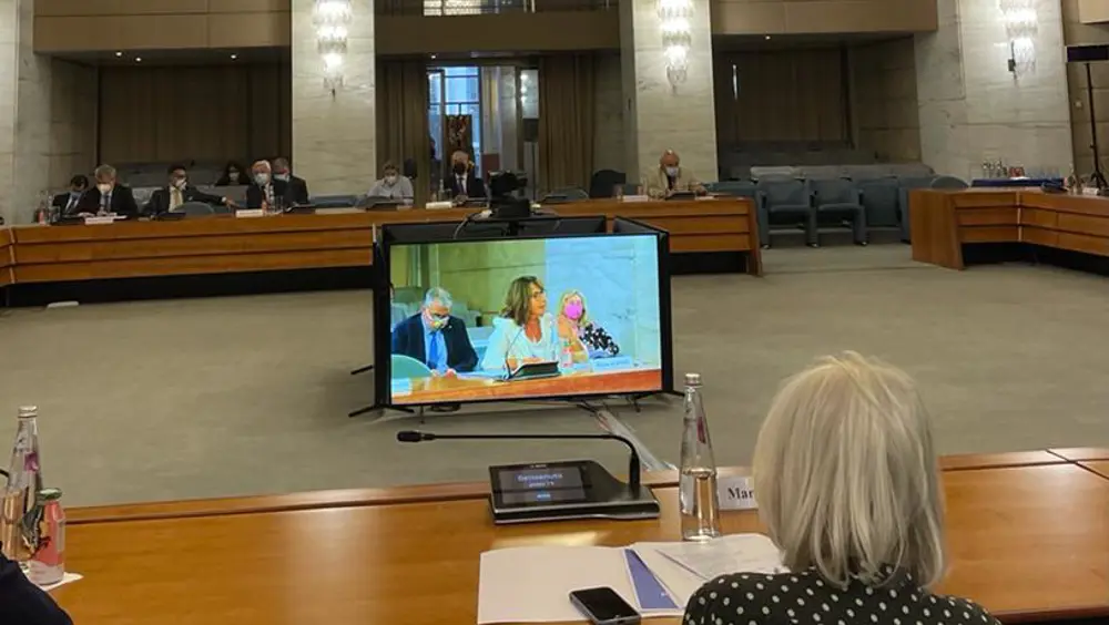 Conferenza sul futuro dell'Europa, sesta riunione del Comitato scientifico Conferenza sul futuro dell'Europa, sesta riunione del Comitato scientifico