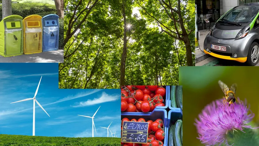 Sottosegretario Amendola: "Bene nuove linee guida su aiuti di Stato, avanti con pragmatismo" Sottosegretario Amendola: "Bene nuove linee guida su aiuti di Stato, avanti con pragmatismo"