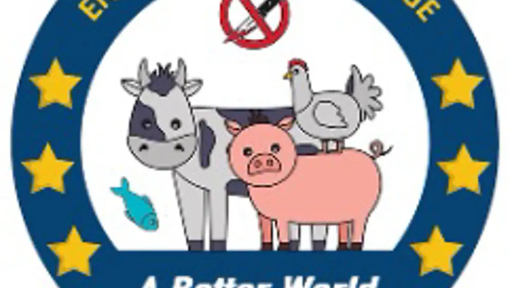 Maggiore tutela dei cavalli, inizia raccolta delle firme Maggiore tutela dei cavalli, inizia raccolta delle firme